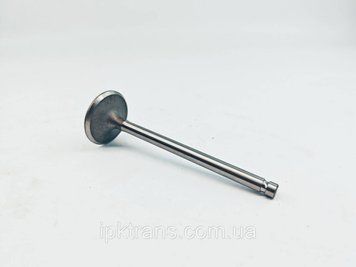 Клапан впускной двигателя XINCHAI 490BPG № 490B-03014, 80033110201, 490B03014 490B03014 фото